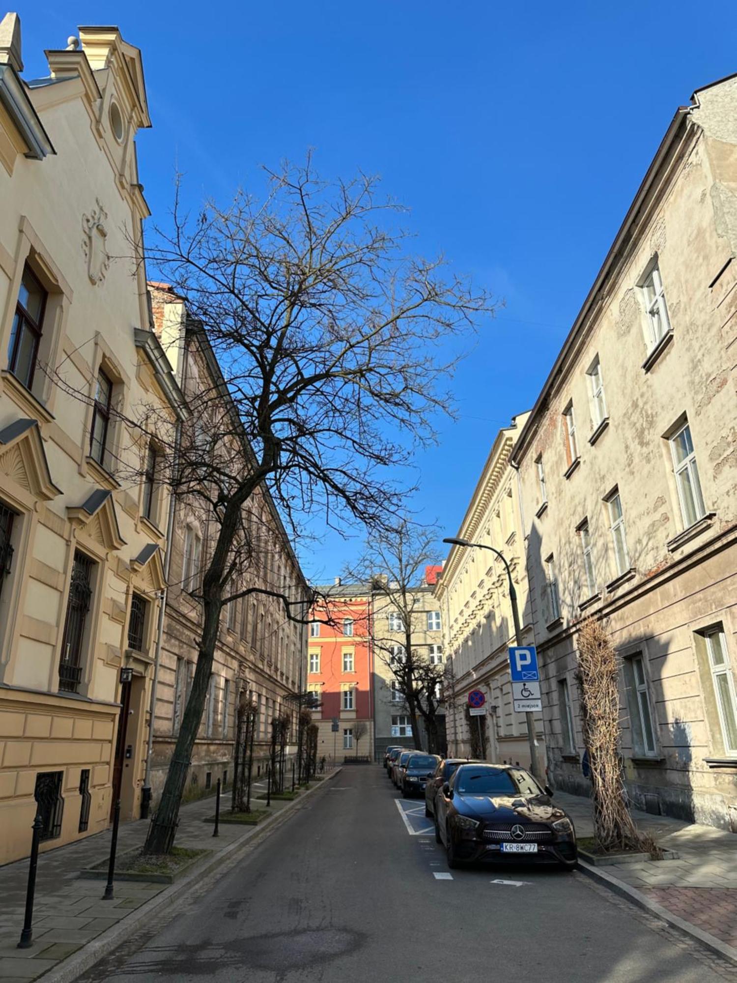 Perfect Place To Stay In Krakow City Center 18M2 W5 エクステリア 写真